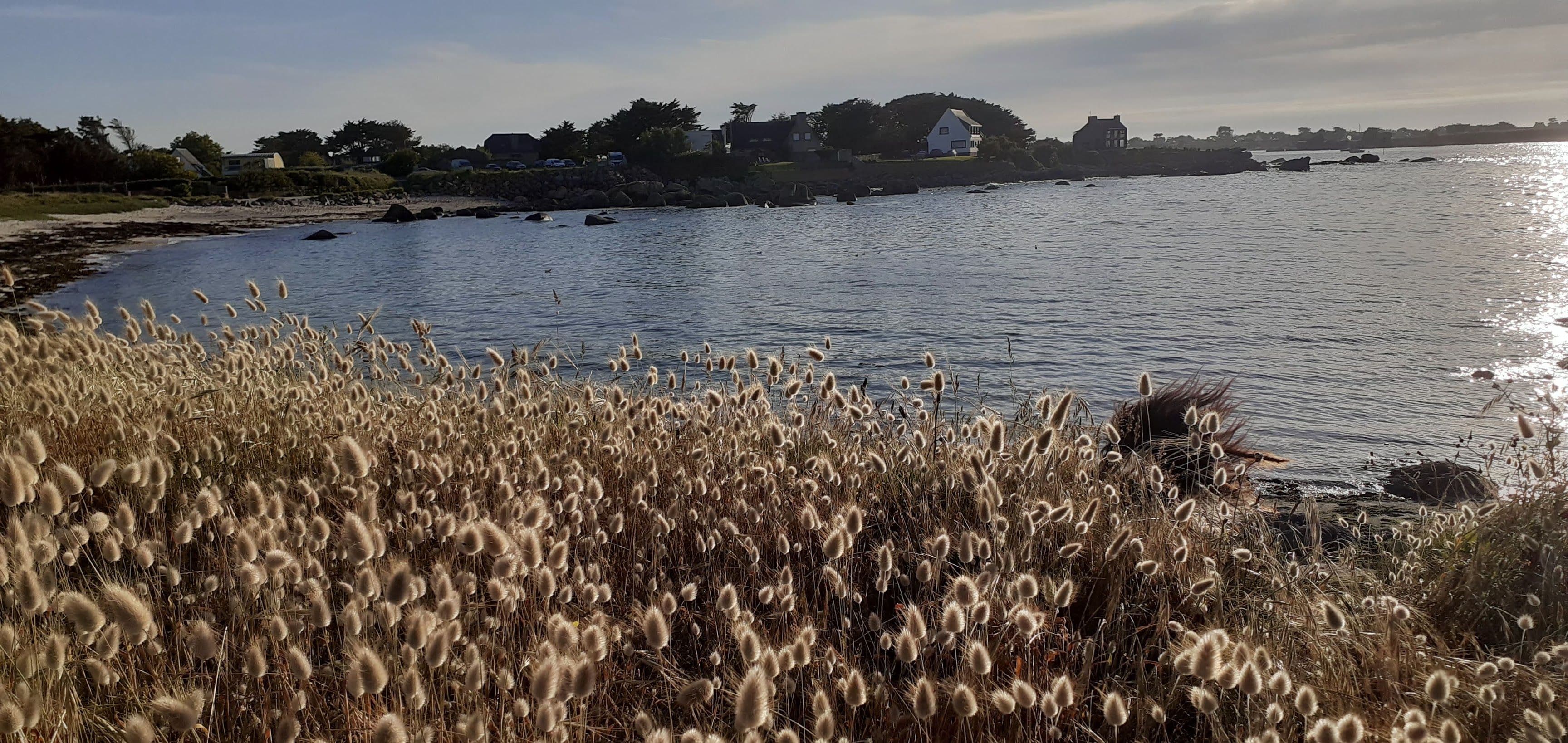 L'instant Bretagne — photo 30