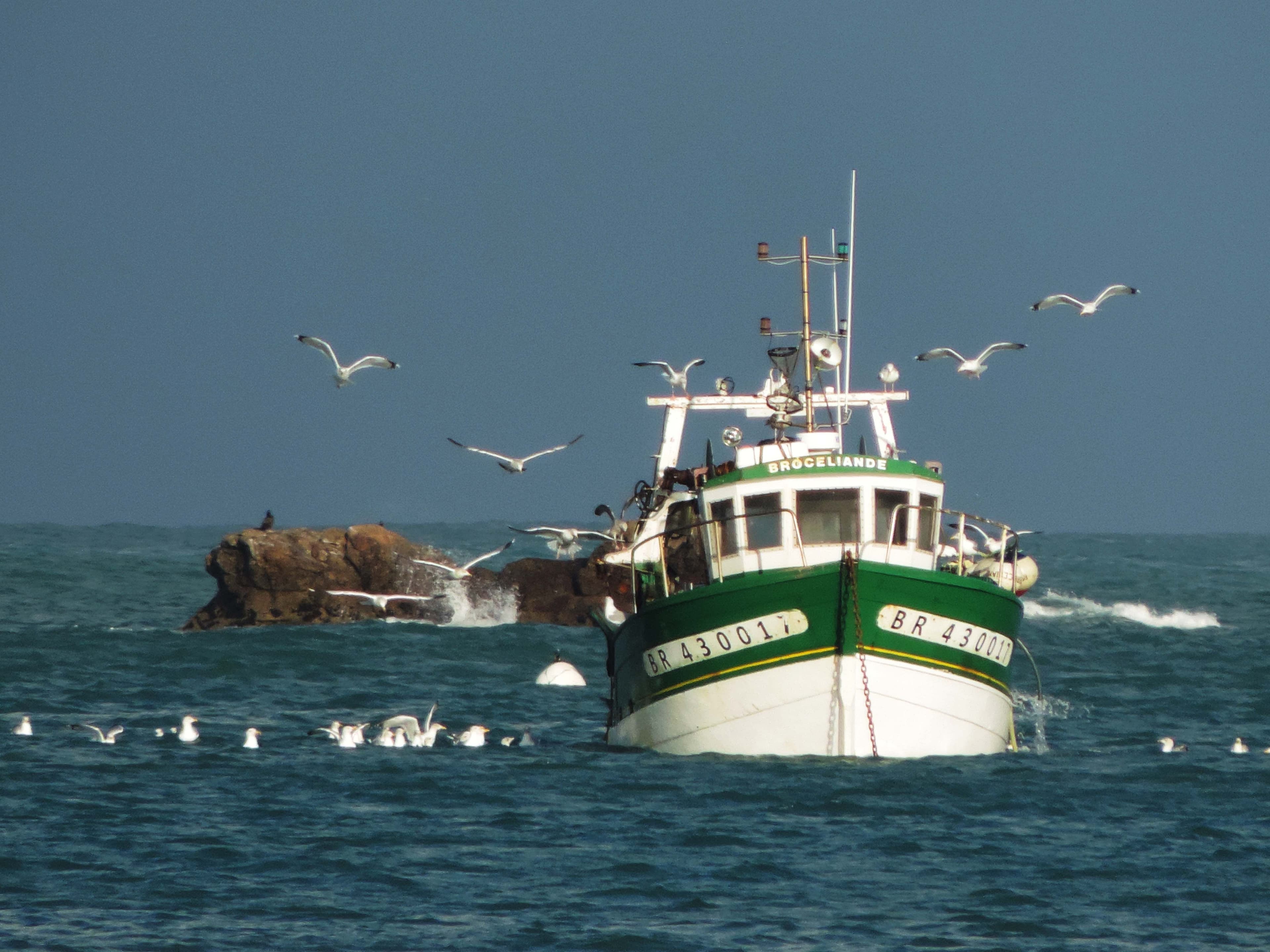 L'instant Bretagne — photo 25