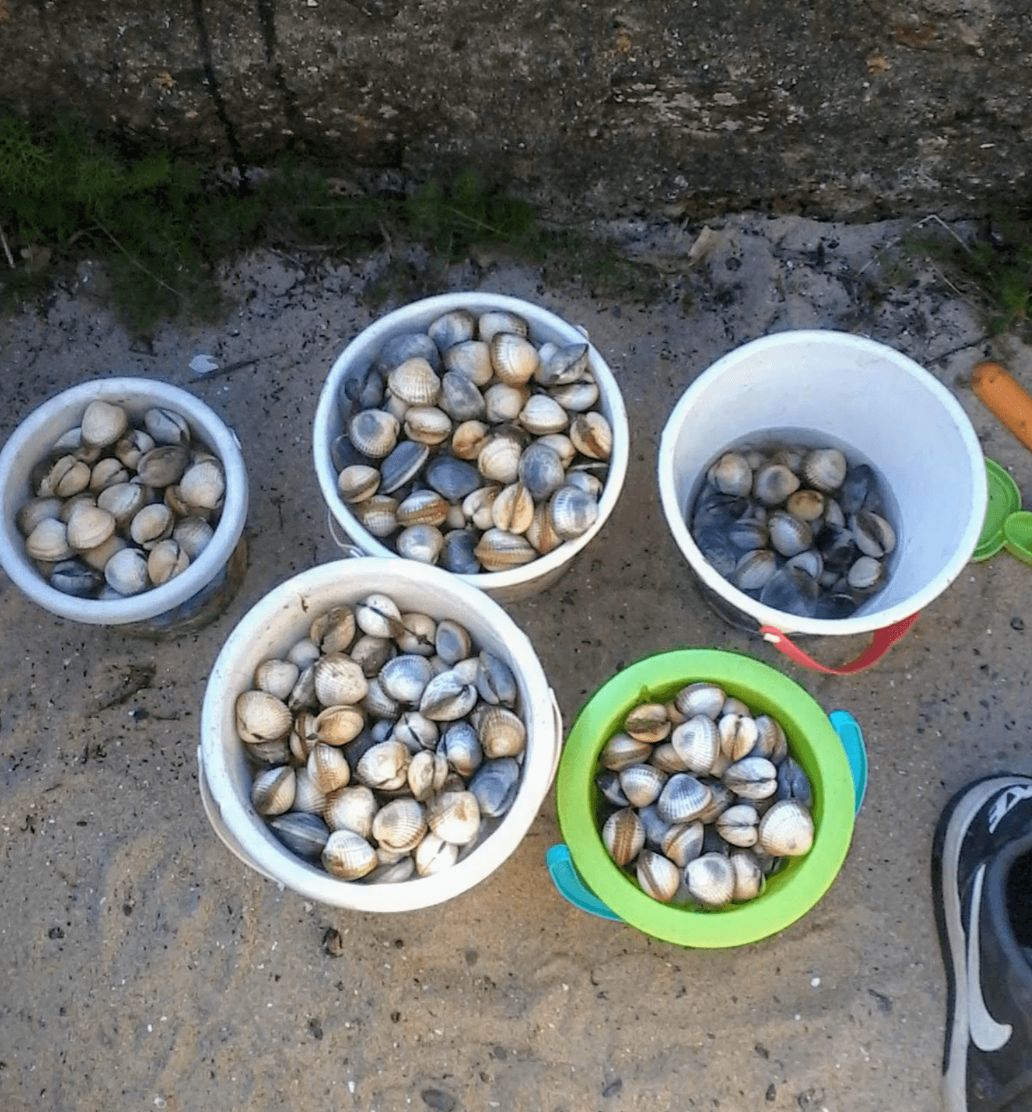 L'instant Bretagne — photo 9